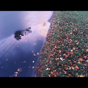 Meet your Posher, Sophia